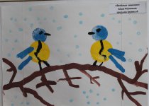 Птицы-синицы и другие птицы
